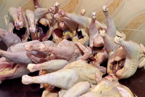 Chicken from Kenya
